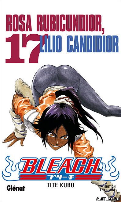 Том 17